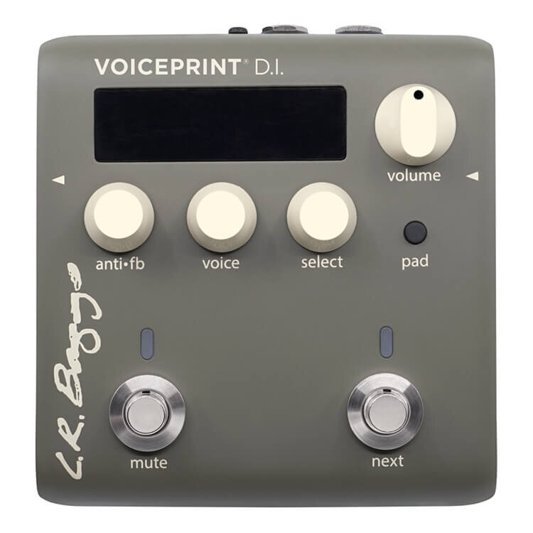L.R. Baggs Voiceprint DI Acoustic Guitar IR Pedal